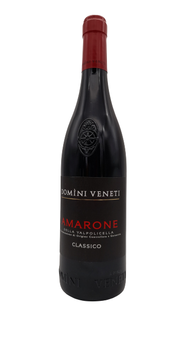 Domini Veneti Amarone 2021 docg 75cl