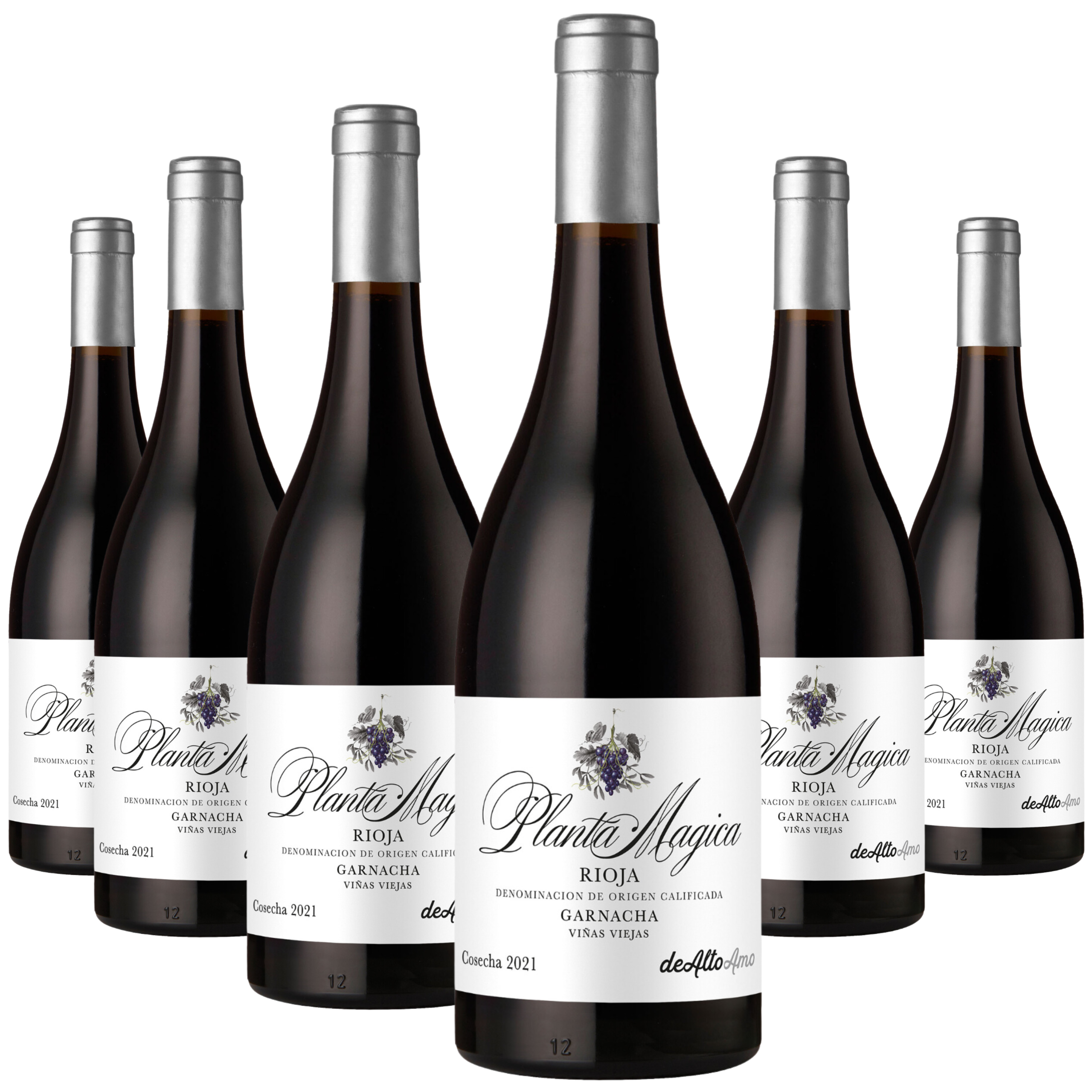 deAlto Amo, La Planta Magica, Old Vines Rioja 2021 (6-Bottle-Case)