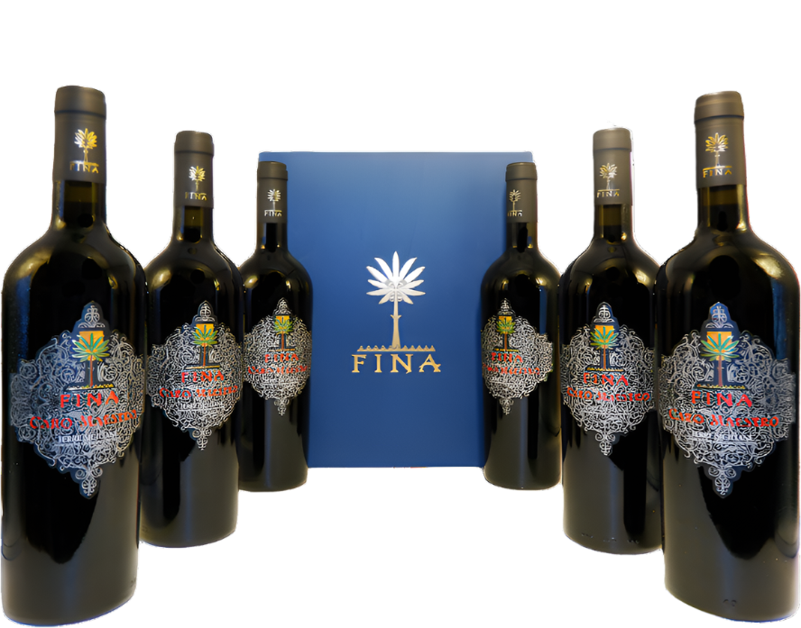 Caro Maestro, 2018  by Fina - Six Bottles in a Wooden Box- Labor Day sale