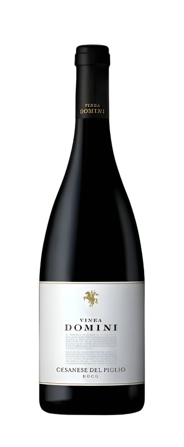 Ceasanese del Piglio, 2020 Vinea Domini by Gotto d'oro