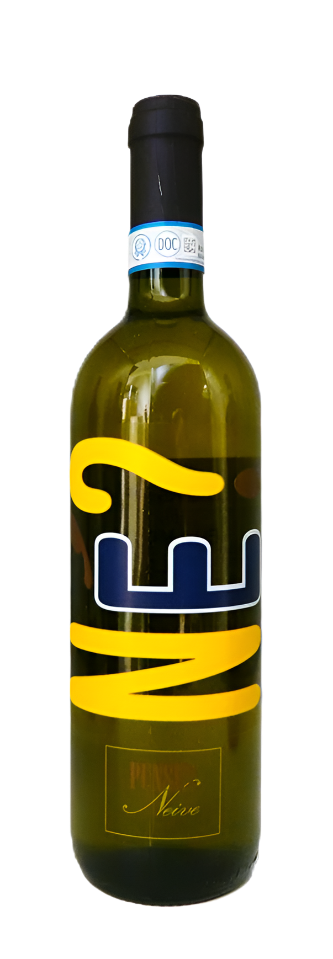Ne, Langhe Bianco DOC, 2023 by Punset in Piedmont, Italy