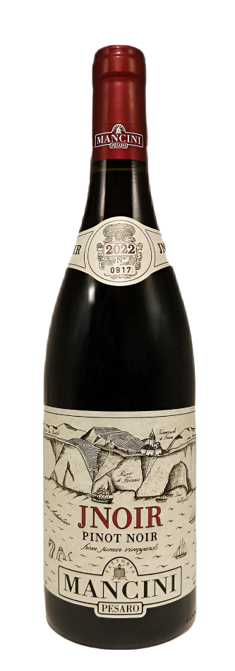 Pinot Noir, JNoir 2022 DOC, By Mancini in Le Marche